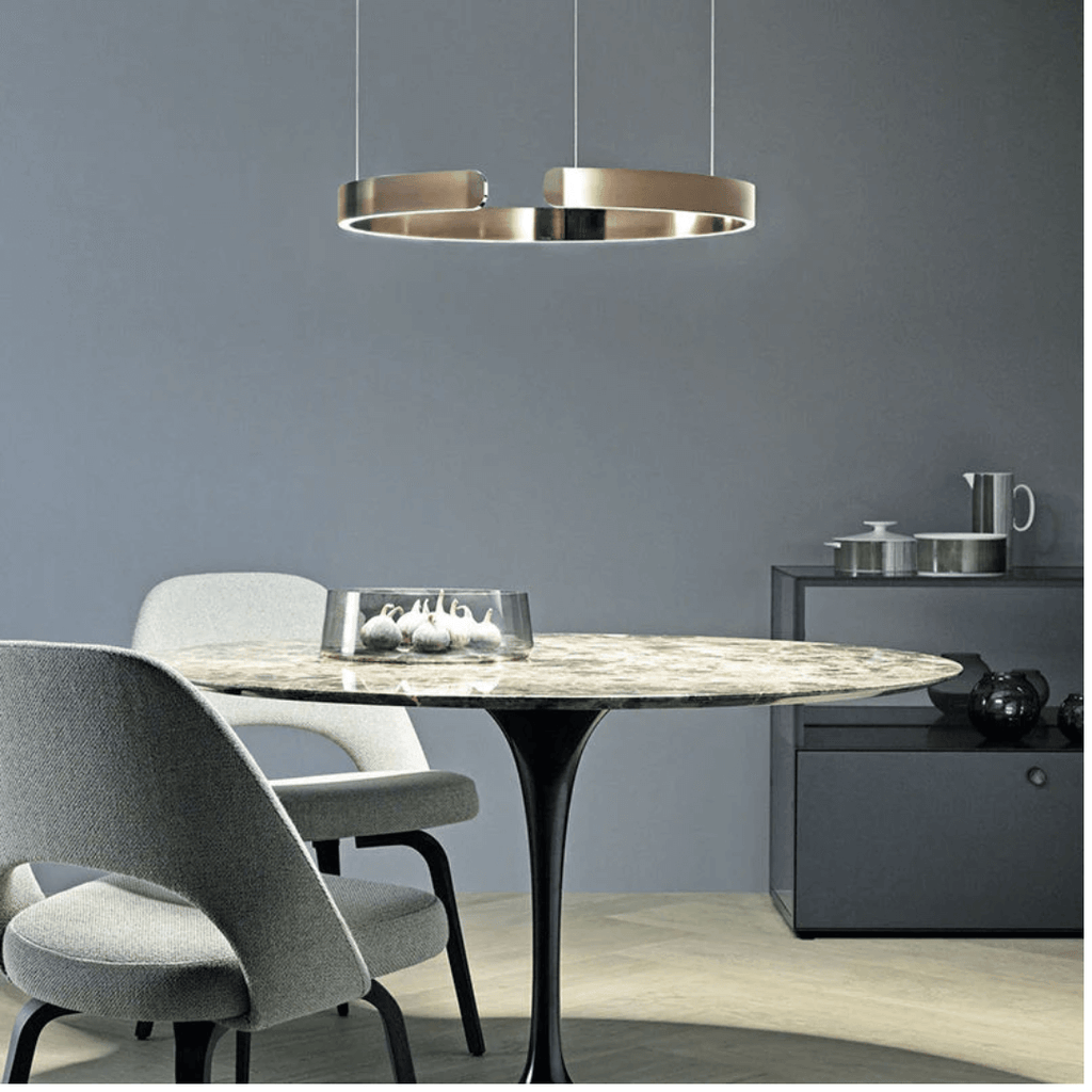 Modern LED Ring Pendant Light for Living Room Ceiling
