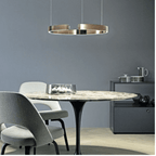 Modern LED Ring Pendant Light for Living Room Ceiling