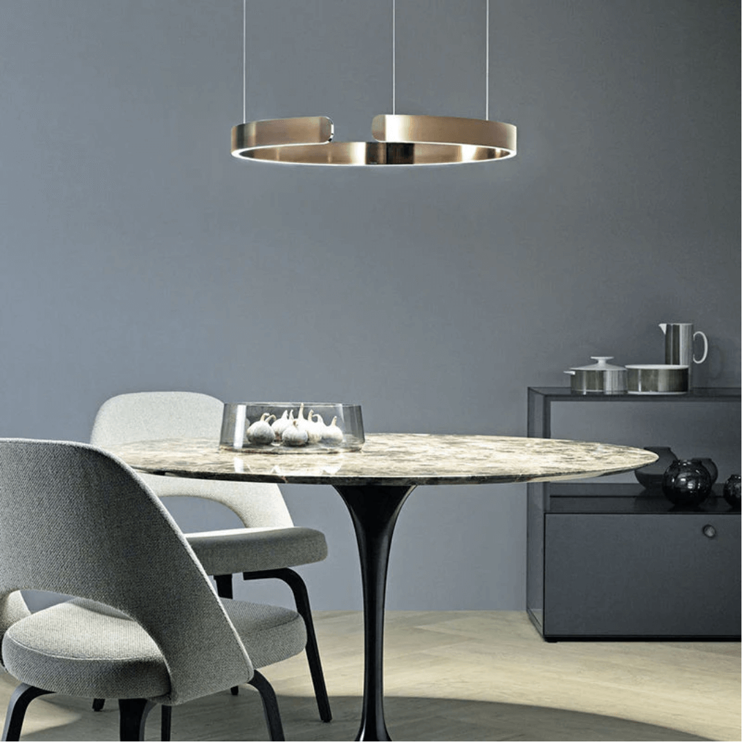 Modern LED Ring Pendant Light for Living Room Ceiling